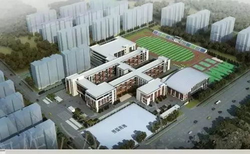 猝不及防成“香餑餑”？花橋教育配套大升級，新建學校為區域發展注入強心劑