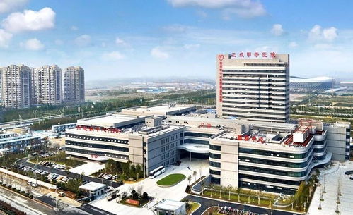 徐州爆發提速 兩年后的城市新藍圖與昆山花橋中心校的教育啟示